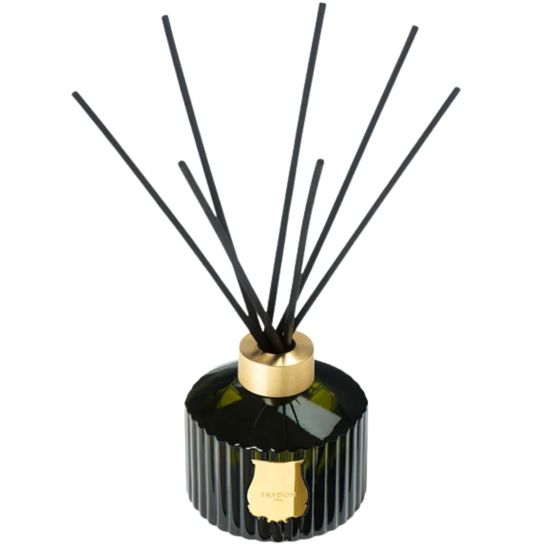 Ernesto Great Diffuser