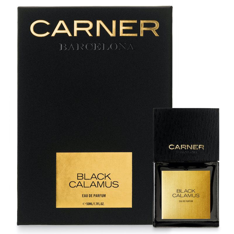 Black Calamus