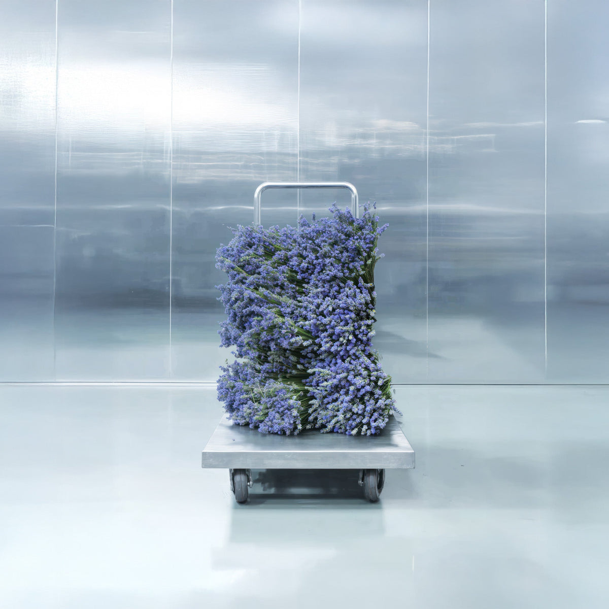 Metal Lavender 50ml