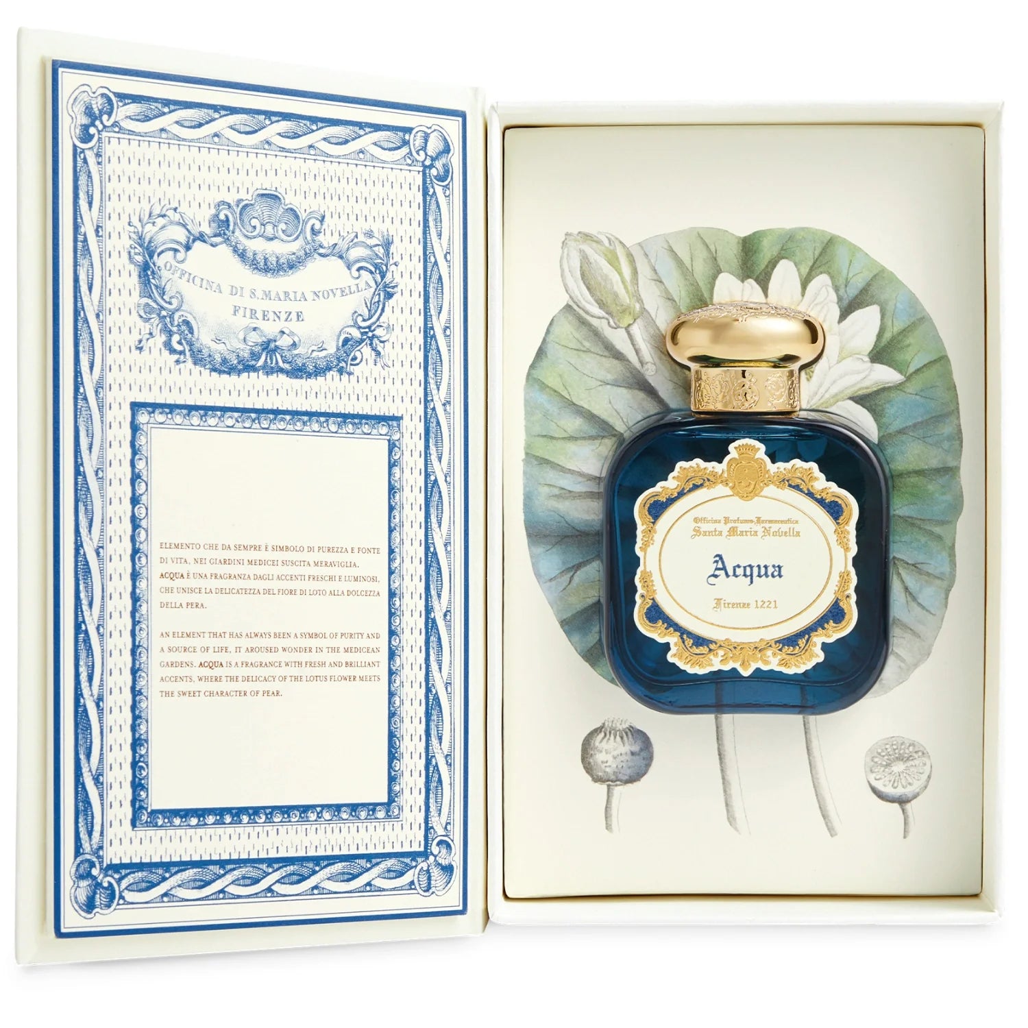Acqua 50ml