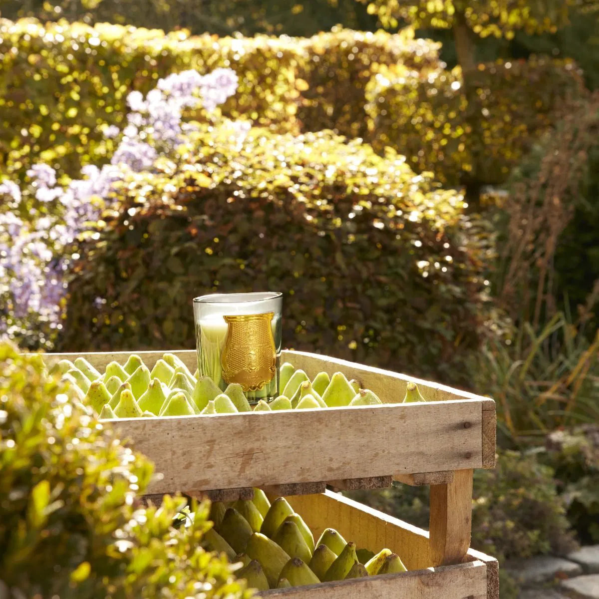 Figuerie Classic Candle