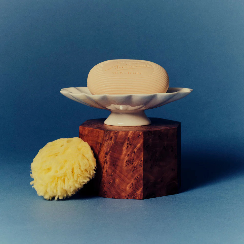 Bienaimé Shell Soap Dish