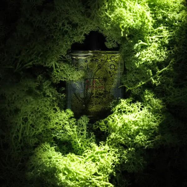 Eccelso 100ml